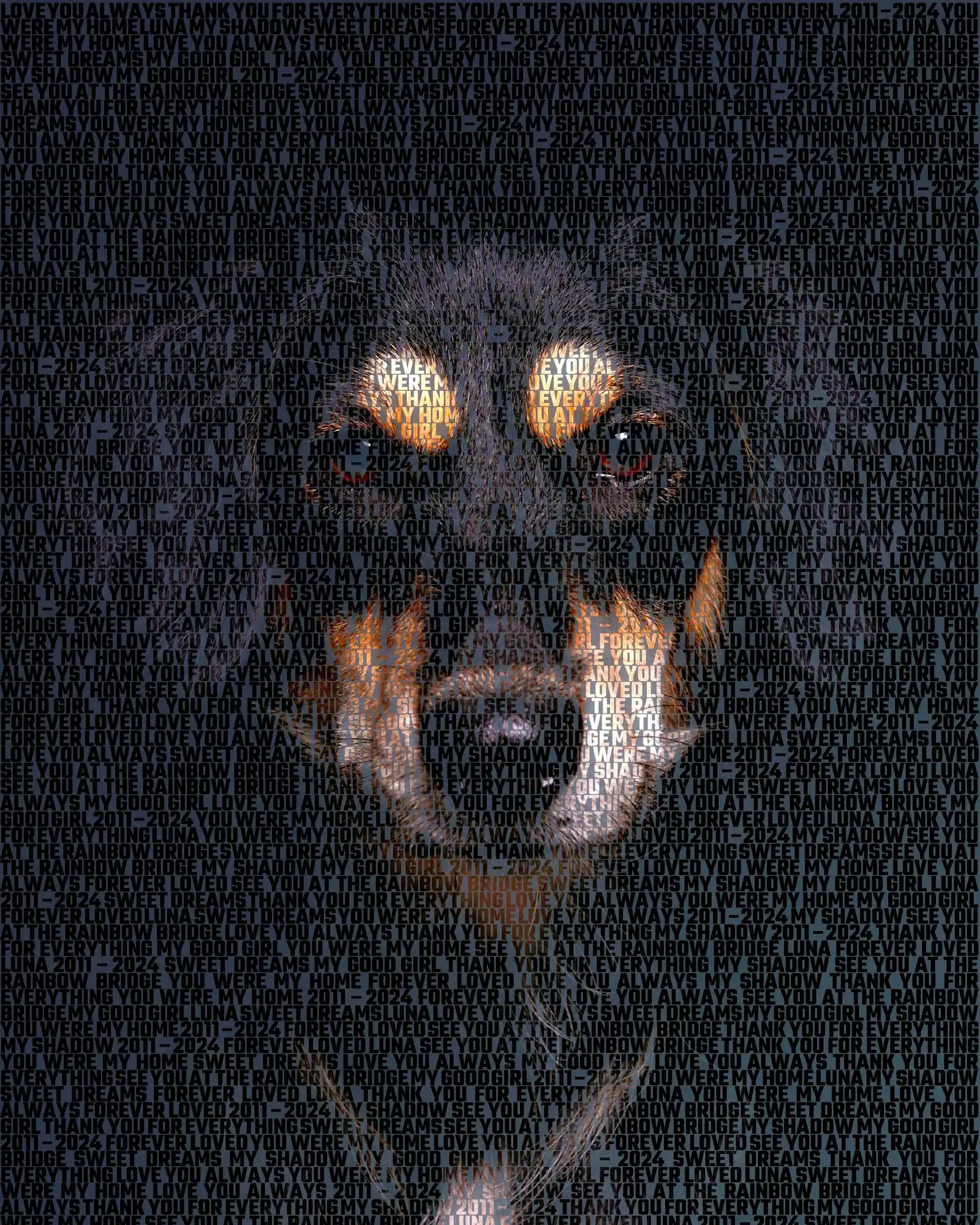 Luna, 2011 – 2024: My good girl, Forever loved, See you at the Rainbow Bridge, You were my home
